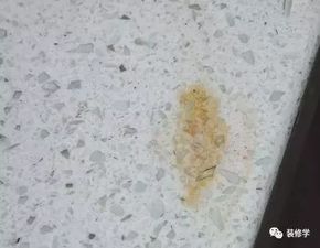 死贵死贵的橱柜怎么选 平民价格如何兼顾颜值和质量
